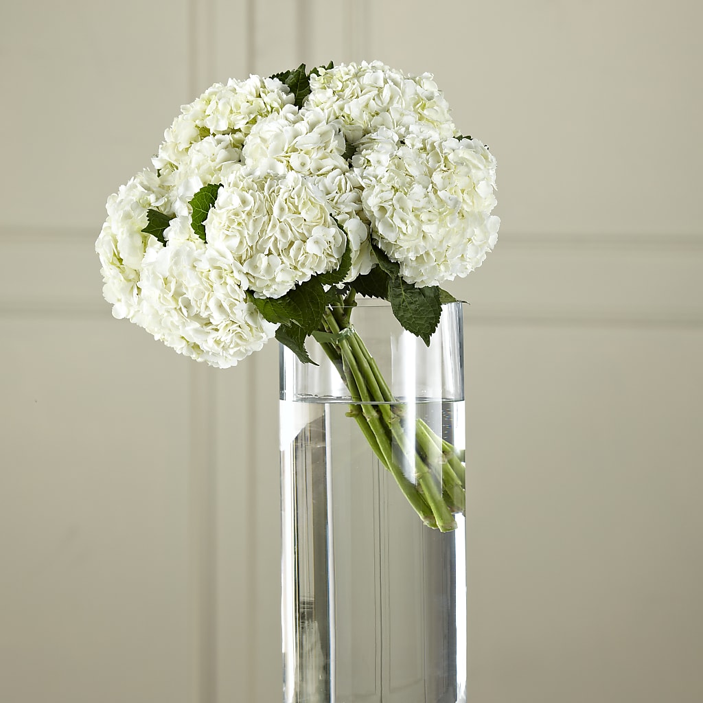 White Hydrangea Hand-Tied Bouquet – Pukalani Floral, Paia HI