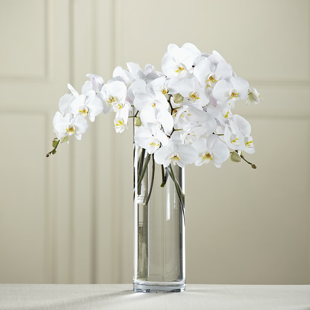 White Phalaenopsis Bouquet – Pukalani Floral, Paia HI