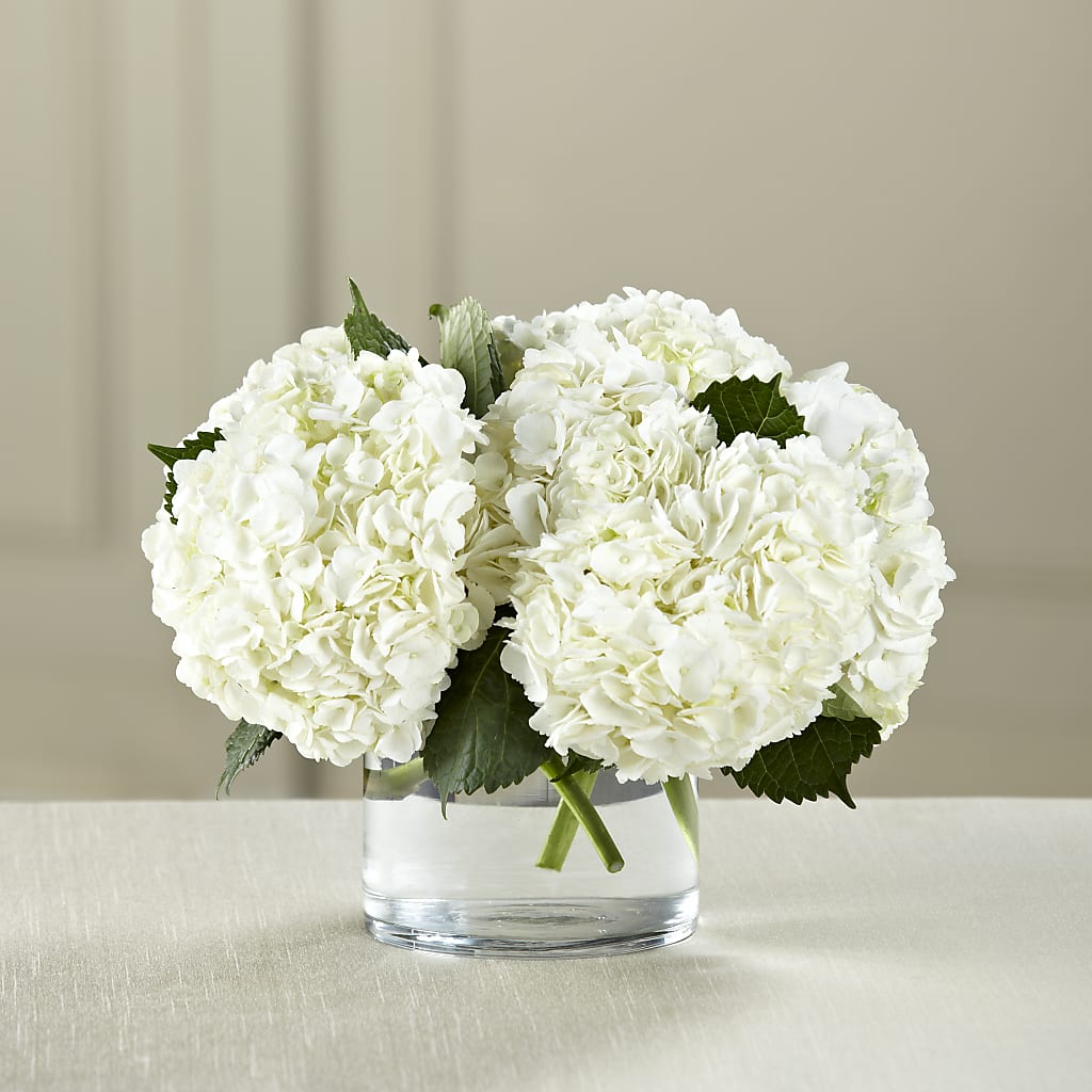 White Hydrangea Bouquet – Pukalani Floral, Paia HI