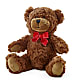 Adorable Plush Bear –  Pukalani Floral, Paia HI