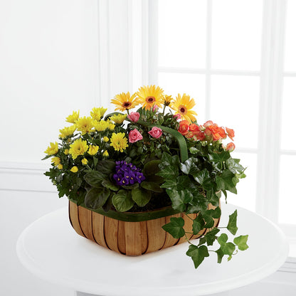 Gentle Blossoms Basket –  Pukalani Floral, Paia HI