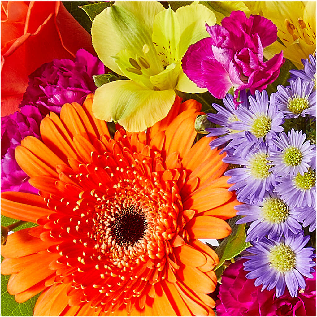 Tricks & Treats Pumpkin –  Pukalani Floral, Paia HI