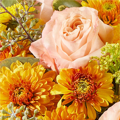 Peachy Pumpkin –  Pukalani Floral, Paia HI