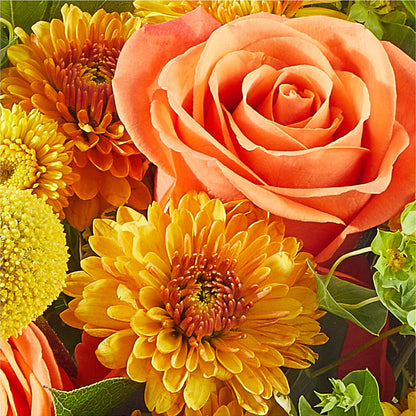 Gourdgeous Pumpkin –  Pukalani Floral, Paia HI