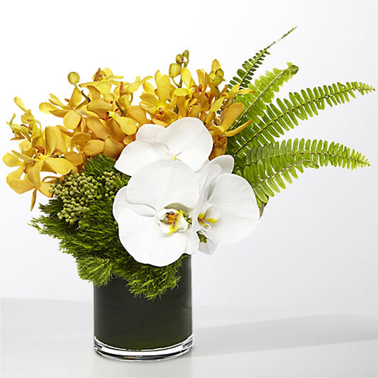 The Tropics –  Pukalani Floral, Paia HI