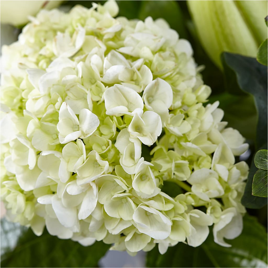 Classic Ivory – A Florist Original –  Pukalani Floral, Paia HI