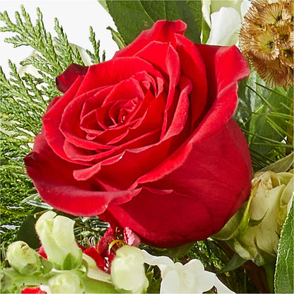 Deck the Halls Bouquet –  Pukalani Floral, Paia HI