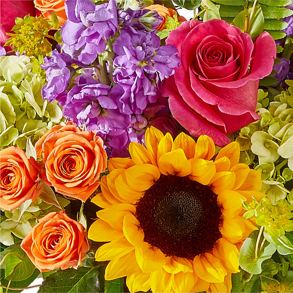 Vibrant Greetings Bouquet –  Pukalani Floral, Paia HI