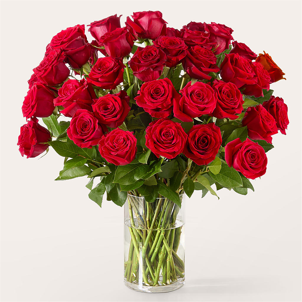 The One Red Rose Bouquet –  Pukalani Floral, Paia HI