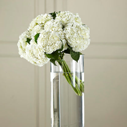White Hydrangea Hand-Tied Bouquet –  Pukalani Floral, Paia HI