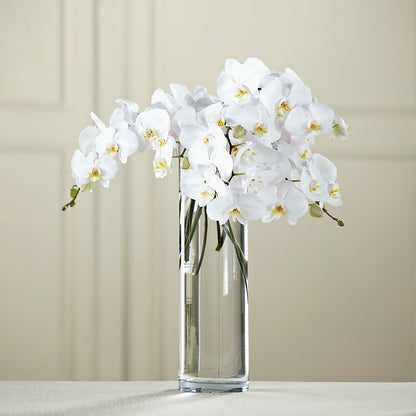White Phalaenopsis Bouquet –  Pukalani Floral, Paia HI