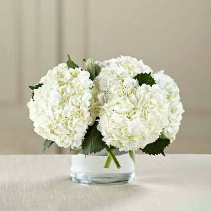 White Hydrangea Bouquet –  Pukalani Floral, Paia HI